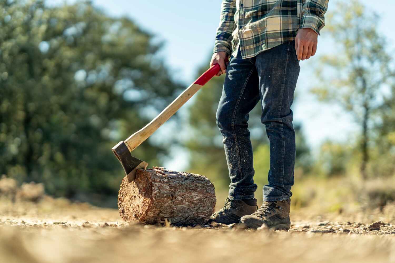 Best Dead Tree Removal  in Waveland, MS